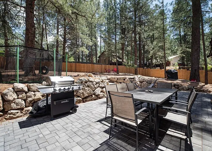 Bear * Flagstaff